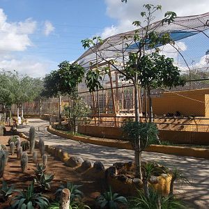 Gibbon Exhibit at Monkey Park, 09/11/10