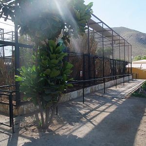 Aviaries at Monkey Park, 09/11/10