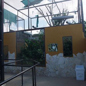 Talapoin Exhibit at Monkey Park, 09/11/10