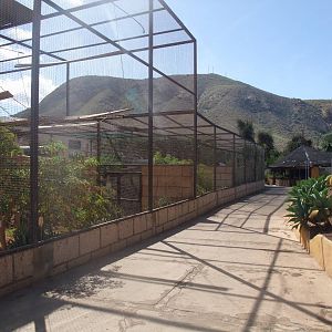 Walkthrough at Monkey Park, 09/11/10