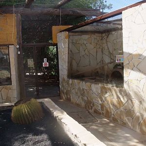 Reptile and Degu Exhibits at Monkey Park, 09/11/10