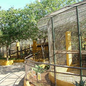 Mangabey Exhibit at Monkey Park, 09/11/10