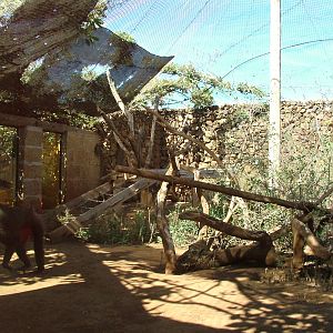 Drill Exhibit at Monkey Park, 09/11/10