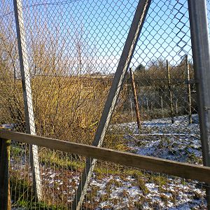 African Lion Enclosure