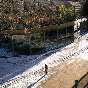 Sumatran Tiger Enclosure.