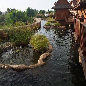 Siam Park 12/11/10