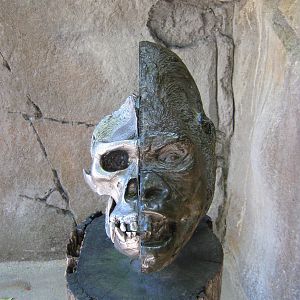 gorilla skull display