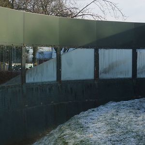 Icy Windows at Twycross, 28/11/10