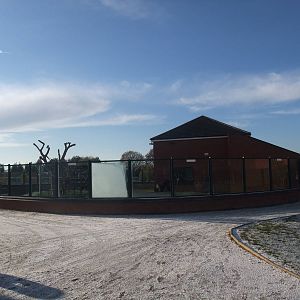 Gorilla House at Twycross, 28/11/10