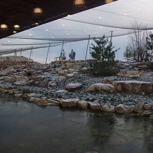Snow Leopard Exhibit at Twycross, 28/11/10