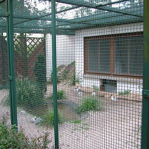Wetland Bird Aviary at Viernheim Bird Park, 06/09/10