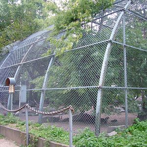 Flight Aviary at Viernheim Bird Park, 06/09/10