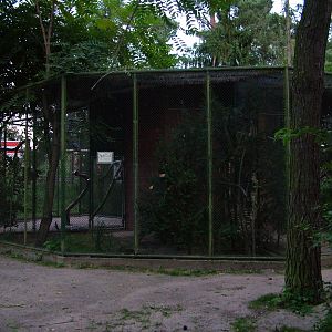 Crow Aviaries at Viernheim Bird Park, 06/09/10