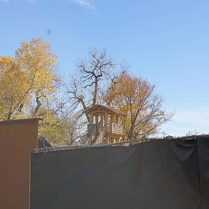 Asian Tropics Construction