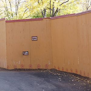 Asian Tropics Construction