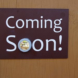 Coming Soon Porthole