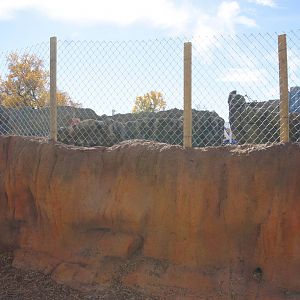 Asian Tropics Construction