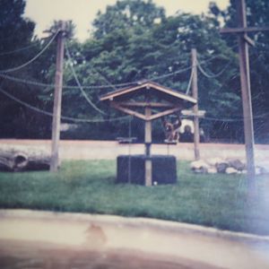 Denver Zoo - 1982