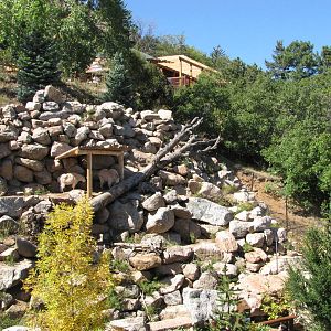 Cheyenne Mountain Zoo 2010 - Rocky Mountain Goat exhibit