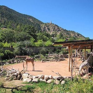 Cheyenne Mountain Zoo 2010 - Giraffe exhibit
