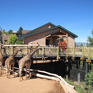 Cheyenne Mountain Zoo 2010 - Giraffe exhibit