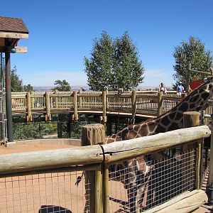 Cheyenne Mountain Zoo 2010 - Giraffe exhibit