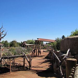 Cheyenne Mountain Zoo 2010 - General view towards the African Rift Valley