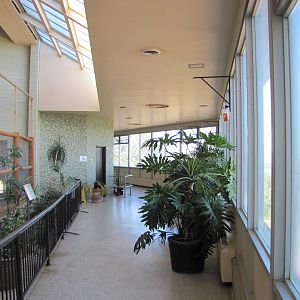 Cheyenne Mountain Zoo 2010 - Inside the Elephant and Giraffe Building