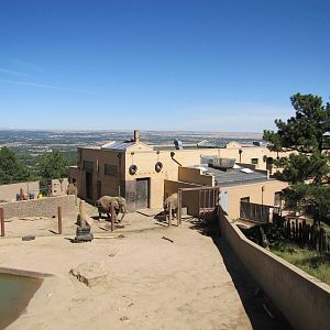 Cheyenne Mountain Zoo 2010 - African Elephant exhibit