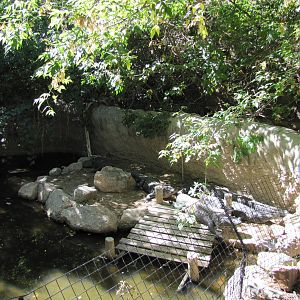Cheyenne Mountain Zoo 2010 - American Alligator exhibit in the Australia se