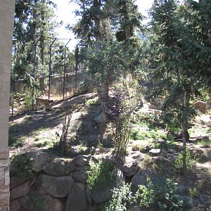 Cheyenne Mountain Zoo 2010 - Amur Tiger exhibit