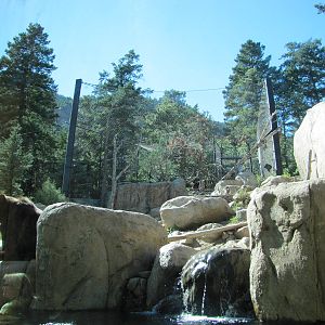 Cheyenne Mountain Zoo 2010 - Grizzly Bear exhibit