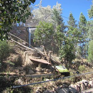 Cheyenne Mountain Zoo 2010 - Canadian Lynx enclosure