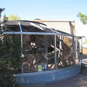 Cheyenne Mountain Zoo 2010 - Coati exhibit