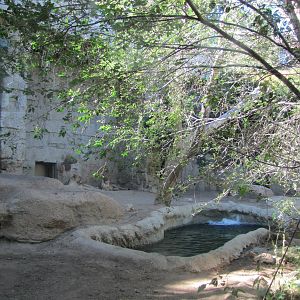 Cheyenne Mountain Zoo 2010 - African Lion exhibit
