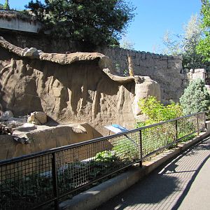 Cheyenne Mountain Zoo 2010 - Bear Grottos