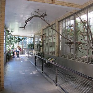 Cheyenne Mountain Zoo 2010 - Inside the old Monkey Pavilion