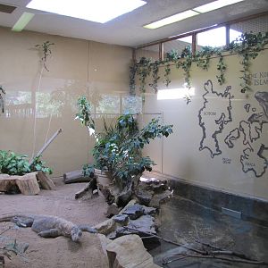 Cheyenne Mountain Zoo 2010 - Komodo Dragon exhibit inside the Aquatics buil