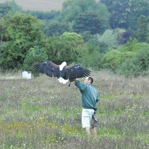 Vulture Awareness Day 2009