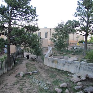 Cheyenne Mountain Zoo 2010 - Mountain Tapir exhibit
