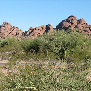 Papago Park, the Zoo's Location