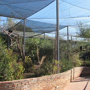 Arizona Trail - Walk-through Aviary