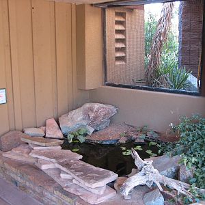 Arizona Trail - Gila Topminnow Exhibit in Walk-through Aviary