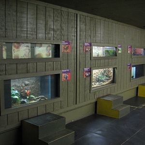 Arizona Trail - Amazing Amphibians Exhibit