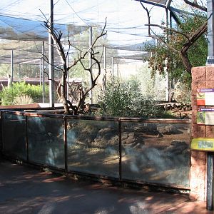 Arizona Trail - Burrowing Owl and Roadrunner Exhibit