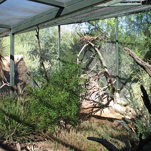 Arizona Trail - Golden Eagle Exhibit