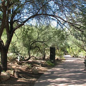 Arizona Trail - Pathway