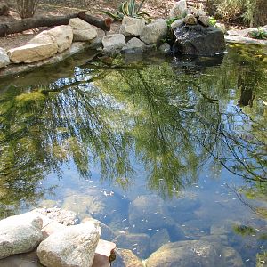 Arizona Trail - Desert Pupfish Exhibit