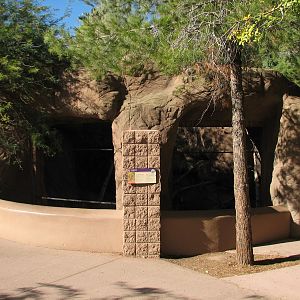 Arizona Trail - Bobcat Exhibit