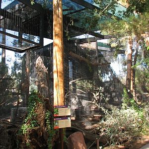 Arizona Trail - Thick-billed Parrot and Pinyon Jay Exhibit